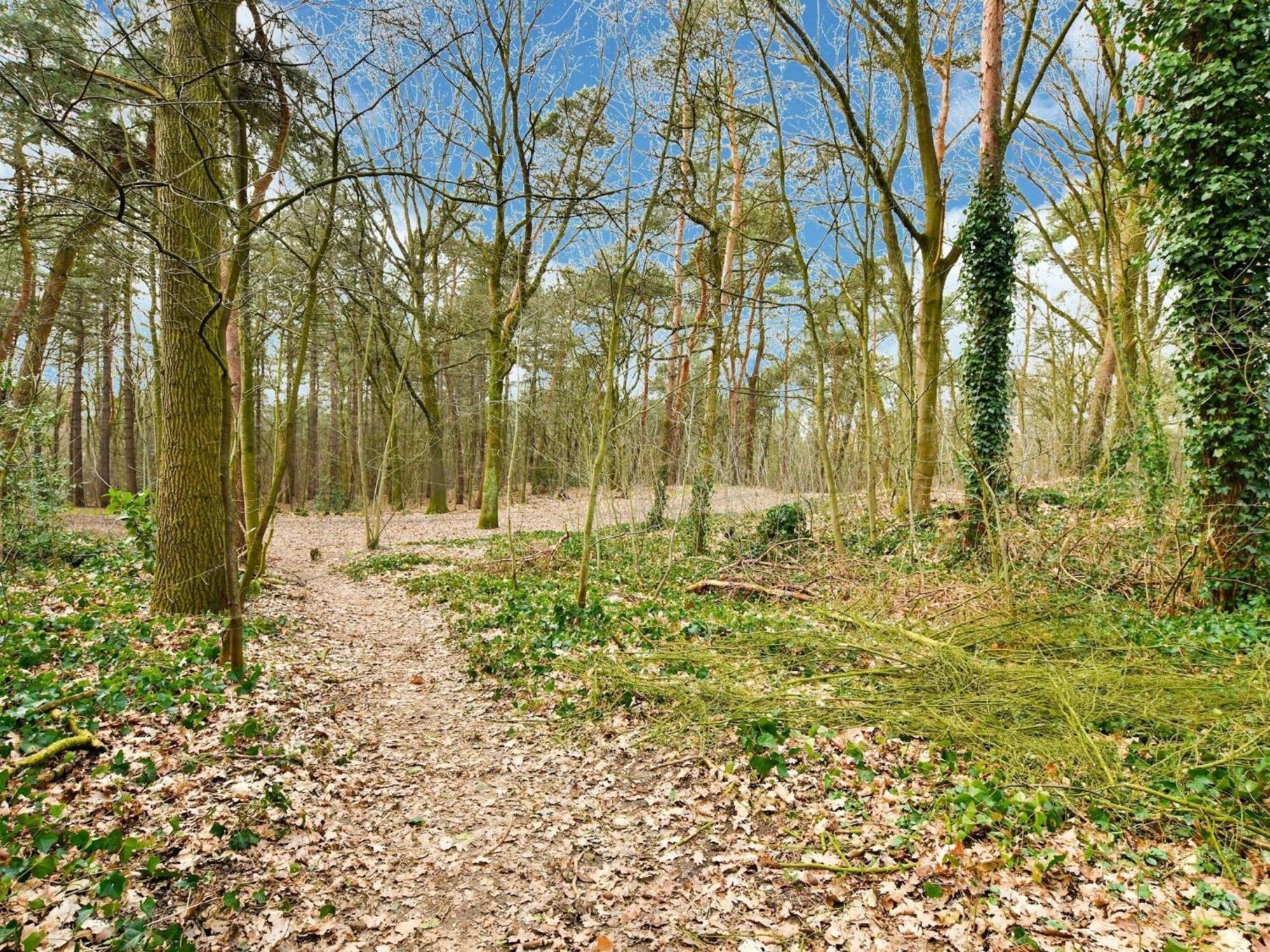 Stille Wille B13 Meijel Exteriör bild
